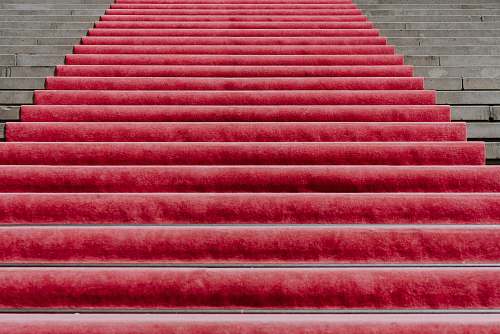 red carpet red rug on stairs red carpet premiere